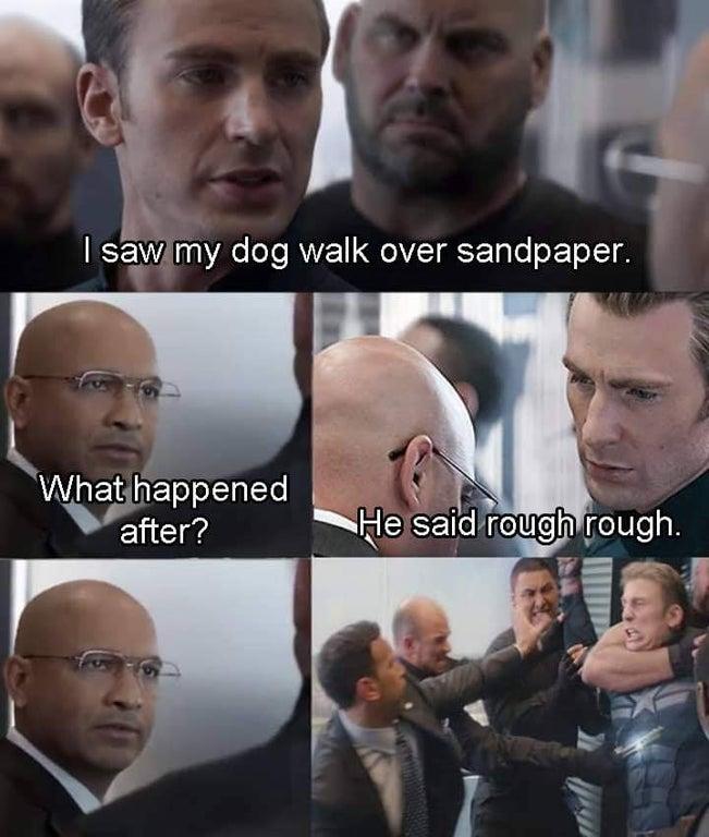 dog walked over Sandpaper