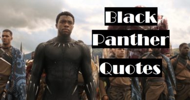 black panther quotes