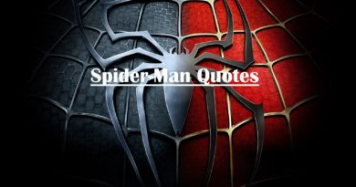 spider-man quotes